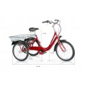 Tricikal Special 20'' ALU 6 prestav
