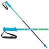 Ski poles LEKI Rider