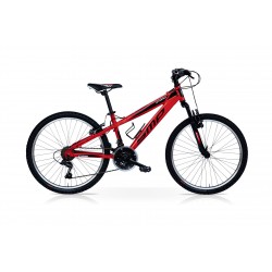 SpeedCross Storm 24''