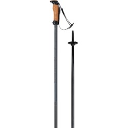Elan Speedrod 2023