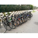 Noleggio Bici