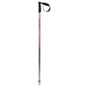Völkl Speedstick poles 2025