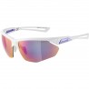 Sports glasses ALPINA NYLOS HR