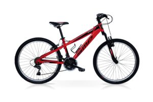 SpeedCross Storm 24''